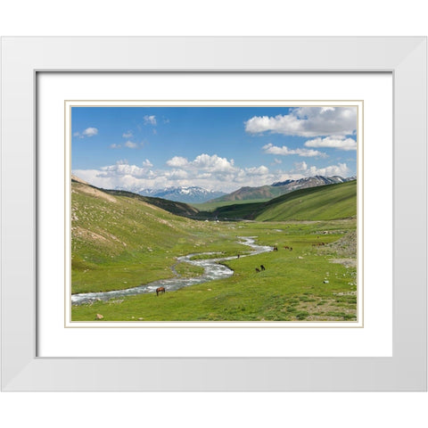 Horses on summer pasture The Suusamyr plain-a high valley in Tien Shan Mountains-Kyrgyzstan White Modern Wood Framed Art Print with Double Matting by Zwick, Martin