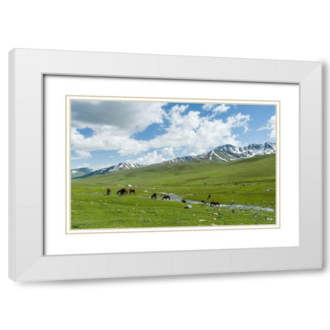Horses on summer pasture The Suusamyr plain-a high valley in Tien Shan Mountains-Kyrgyzstan White Modern Wood Framed Art Print with Double Matting by Zwick, Martin