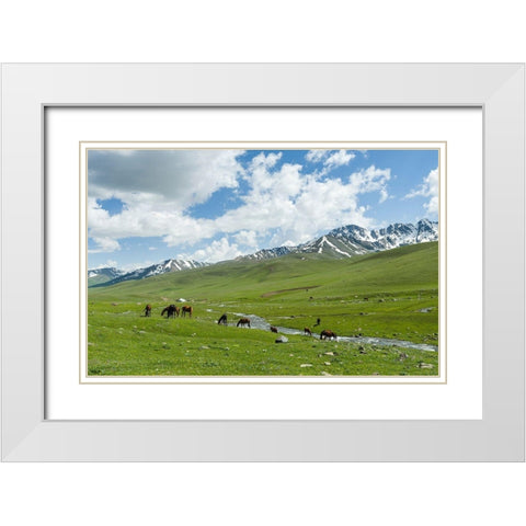 Horses on summer pasture The Suusamyr plain-a high valley in Tien Shan Mountains-Kyrgyzstan White Modern Wood Framed Art Print with Double Matting by Zwick, Martin