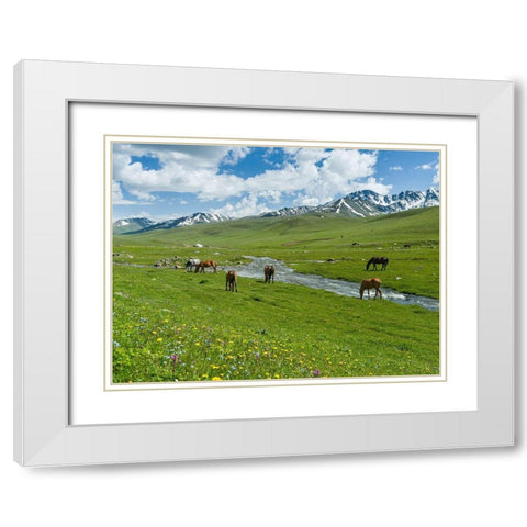 Horses on summer pasture The Suusamyr plain-a high valley in Tien Shan Mountains-Kyrgyzstan White Modern Wood Framed Art Print with Double Matting by Zwick, Martin