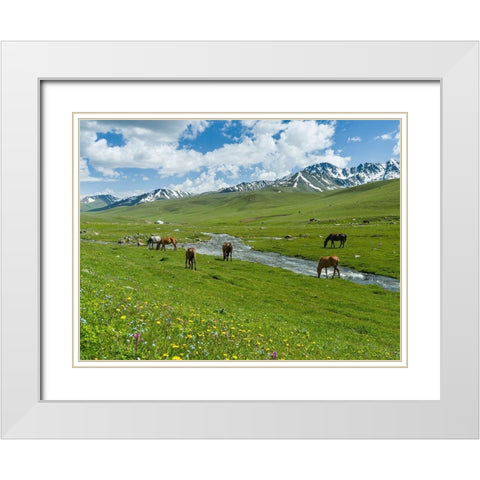 Horses on summer pasture The Suusamyr plain-a high valley in Tien Shan Mountains-Kyrgyzstan White Modern Wood Framed Art Print with Double Matting by Zwick, Martin