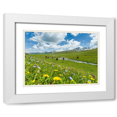 Horses on summer pasture The Suusamyr plain-a high valley in Tien Shan Mountains-Kyrgyzstan White Modern Wood Framed Art Print with Double Matting by Zwick, Martin