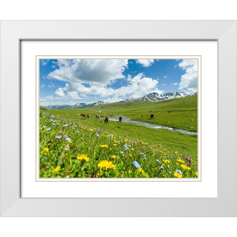 Horses on summer pasture The Suusamyr plain-a high valley in Tien Shan Mountains-Kyrgyzstan White Modern Wood Framed Art Print with Double Matting by Zwick, Martin