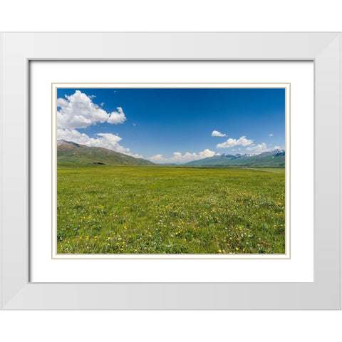 The Suusamyr plain-a high valley in Tien Shan Mountains-Kyrgyzstan White Modern Wood Framed Art Print with Double Matting by Zwick, Martin