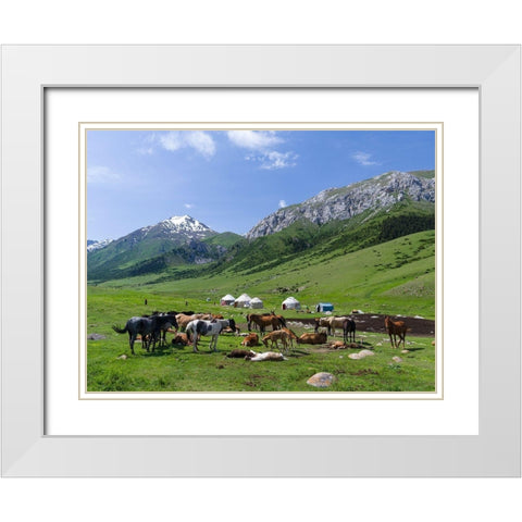 Alpe with Yurt and horses-the mares are used for milking National Park Besch Tasch White Modern Wood Framed Art Print with Double Matting by Zwick, Martin
