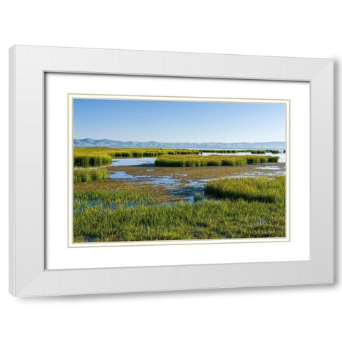 Landscape at lake Song Kol  White Modern Wood Framed Art Print with Double Matting by Zwick, Martin