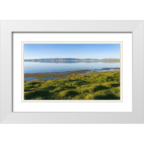 Landscape at lake Song Kol  White Modern Wood Framed Art Print with Double Matting by Zwick, Martin