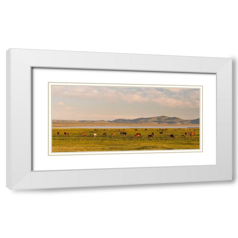 Horses on their mountain pasture at lake Song Kol  White Modern Wood Framed Art Print with Double Matting by Zwick, Martin