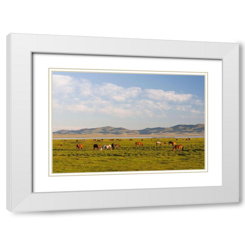 Horses on their mountain pasture at lake Song Kol  White Modern Wood Framed Art Print with Double Matting by Zwick, Martin