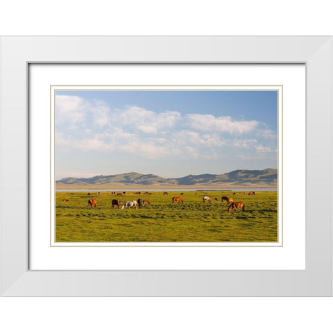 Horses on their mountain pasture at lake Song Kol  White Modern Wood Framed Art Print with Double Matting by Zwick, Martin