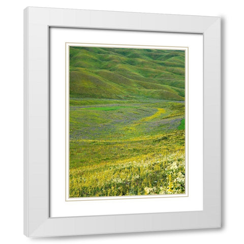 Wildflower meadow near the mountain road from Kazarman to mountain pass Urum Basch Ashuusu in the  White Modern Wood Framed Art Print with Double Matting by Zwick, Martin