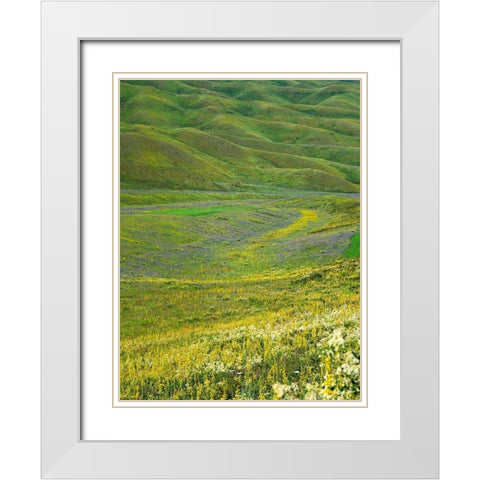 Wildflower meadow near the mountain road from Kazarman to mountain pass Urum Basch Ashuusu in the  White Modern Wood Framed Art Print with Double Matting by Zwick, Martin
