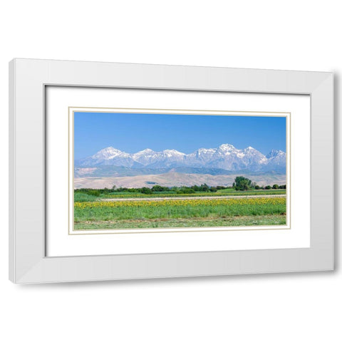 Landscape in the foothills of the Fergana mountain range White Modern Wood Framed Art Print with Double Matting by Zwick, Martin