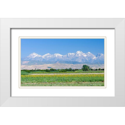 Landscape in the foothills of the Fergana mountain range White Modern Wood Framed Art Print with Double Matting by Zwick, Martin