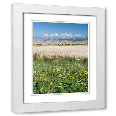 Landscape in the foothills of the Fergana mountain range White Modern Wood Framed Art Print with Double Matting by Zwick, Martin