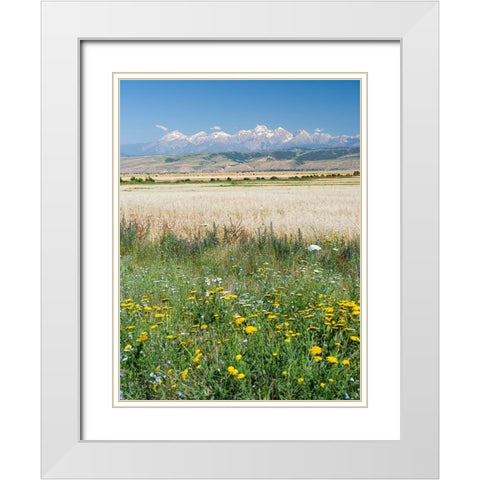 Landscape in the foothills of the Fergana mountain range White Modern Wood Framed Art Print with Double Matting by Zwick, Martin