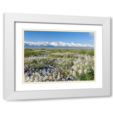 Peak Pik Lenin or Kullai abu-ali ibn Sino and Pik Dserschinski Alay Valley  White Modern Wood Framed Art Print with Double Matting by Zwick, Martin