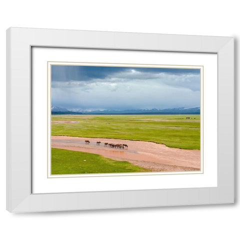 Horses in the Alay Valley and the Trans-Alay Range in the Pamir Mountains  White Modern Wood Framed Art Print with Double Matting by Zwick, Martin
