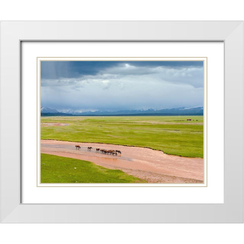 Horses in the Alay Valley and the Trans-Alay Range in the Pamir Mountains  White Modern Wood Framed Art Print with Double Matting by Zwick, Martin