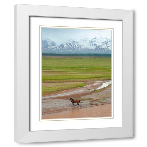 Horses in the Alay Valley and the Trans-Alay Range in the Pamir Mountains  White Modern Wood Framed Art Print with Double Matting by Zwick, Martin