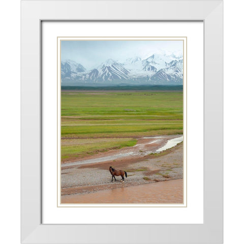 Horses in the Alay Valley and the Trans-Alay Range in the Pamir Mountains  White Modern Wood Framed Art Print with Double Matting by Zwick, Martin