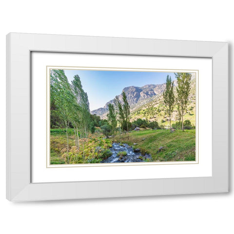 Artuch-Sughd Province-Tajikistan A small creek in the mountains of Tajikistan White Modern Wood Framed Art Print with Double Matting by Wilson, Emily M.