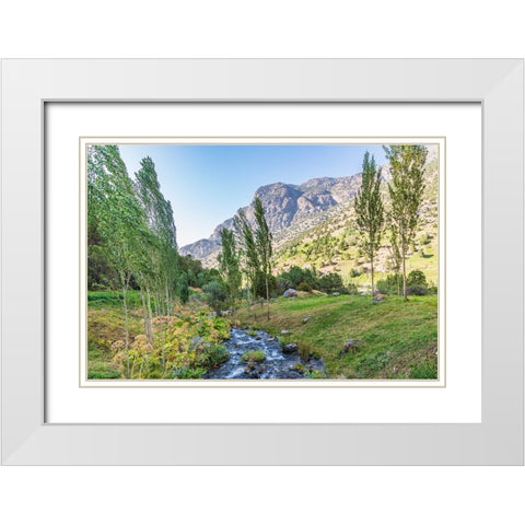 Artuch-Sughd Province-Tajikistan A small creek in the mountains of Tajikistan White Modern Wood Framed Art Print with Double Matting by Wilson, Emily M.