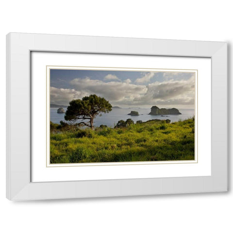 New Zealand, North Is Stingray Bay at sunrise White Modern Wood Framed Art Print with Double Matting by Grall, Don