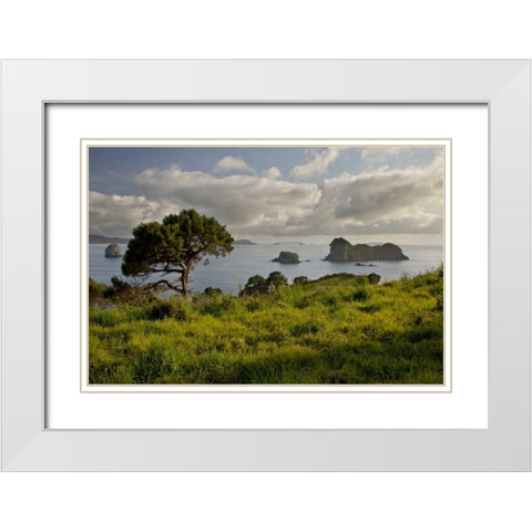 New Zealand, North Is Stingray Bay at sunrise White Modern Wood Framed Art Print with Double Matting by Grall, Don