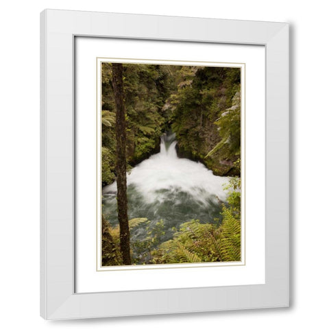 New Zealand The Kaituna river over Tuteas Falls White Modern Wood Framed Art Print with Double Matting by Grall, Don