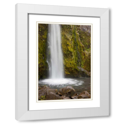 New Zealand, Taranaki Dawson Falls in Egmont NP White Modern Wood Framed Art Print with Double Matting by Grall, Don