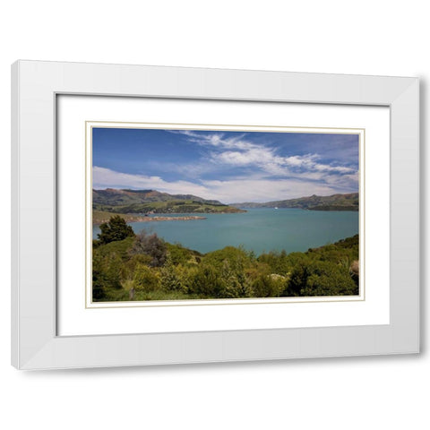 New Zealand, South Island, Akaroa Harbor scenic White Modern Wood Framed Art Print with Double Matting by Grall, Don