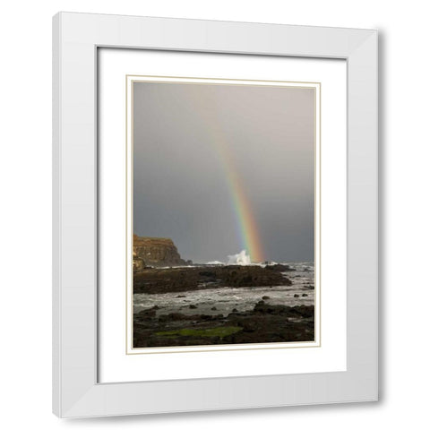 New Zealand, South Island Rainbow over Curio Bay White Modern Wood Framed Art Print with Double Matting by Grall, Don