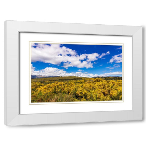 Wildflowers on rolling hills above Lake Te Anau-South Island-New Zealand White Modern Wood Framed Art Print with Double Matting by Bishop, Russ