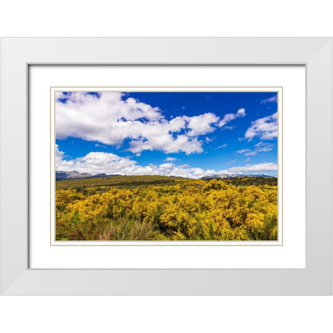 Wildflowers on rolling hills above Lake Te Anau-South Island-New Zealand White Modern Wood Framed Art Print with Double Matting by Bishop, Russ