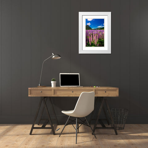 Spring lupine in Eglinton Valley-Fiordland National Park-South Island-New Zealand White Modern Wood Framed Art Print with Double Matting by Bishop, Russ