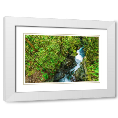 The Chasm-Fiordland National Park-South Island-New Zealand White Modern Wood Framed Art Print with Double Matting by Bishop, Russ