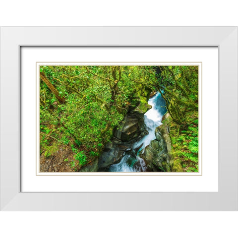 The Chasm-Fiordland National Park-South Island-New Zealand White Modern Wood Framed Art Print with Double Matting by Bishop, Russ