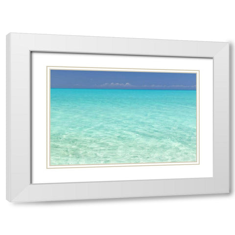 Bahamas, Little Exuma Island Aqua ocean water White Modern Wood Framed Art Print with Double Matting by Paulson, Don