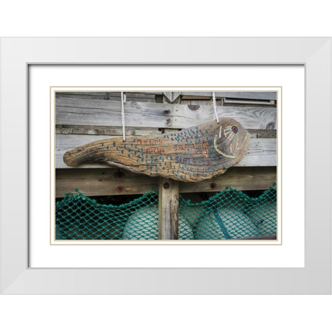 Bahamas, Exuma Island Sign at park headquarters White Modern Wood Framed Art Print with Double Matting by Paulson, Don