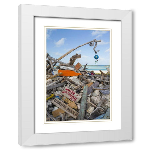 Bahamas, Exuma Island Driftwood on BooBoo Hill White Modern Wood Framed Art Print with Double Matting by Paulson, Don