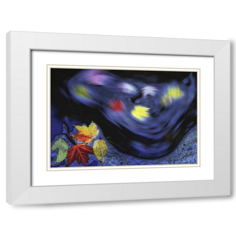 Canada, Quebec Autumn leaves swirl in a creek White Modern Wood Framed Art Print with Double Matting by Delisle, Gilles