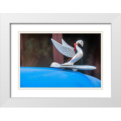 Detail of swan hood ornament usually found on classic American Packard Havana-Cuba White Modern Wood Framed Art Print with Double Matting by Miglavs, Janis