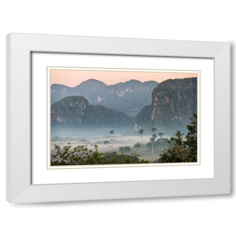 Morning fog rises from the palm tree lined Vinales Valley-Cuba White Modern Wood Framed Art Print with Double Matting by Miglavs, Janis