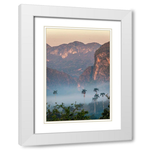 Morning fog rises from the palm tree lined Vinales Valley-Cuba White Modern Wood Framed Art Print with Double Matting by Miglavs, Janis