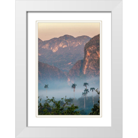 Morning fog rises from the palm tree lined Vinales Valley-Cuba White Modern Wood Framed Art Print with Double Matting by Miglavs, Janis