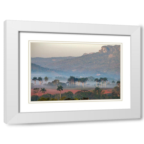 Morning fog rises from the palm tree lined Vinales Valley-Cuba White Modern Wood Framed Art Print with Double Matting by Miglavs, Janis