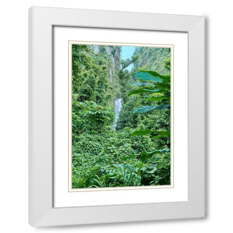 Caribbean-West Indies-Dominica Island One of Dominicas most popular natural attractions White Modern Wood Framed Art Print with Double Matting by Buhl, Karl