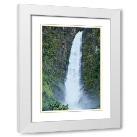 Caribbean-West Indies-Dominica Island One of Dominicas most popular natural attractions White Modern Wood Framed Art Print with Double Matting by Buhl, Karl