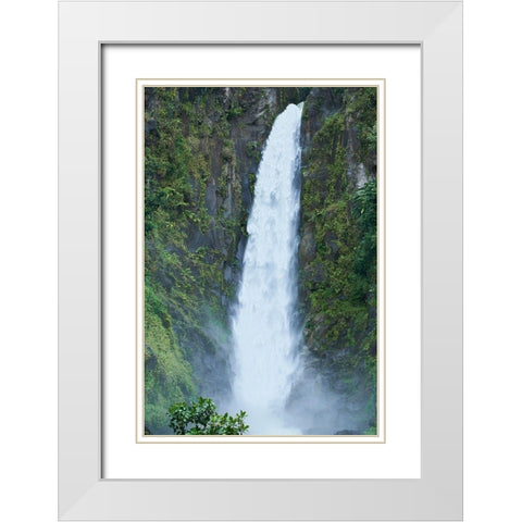 Caribbean-West Indies-Dominica Island One of Dominicas most popular natural attractions White Modern Wood Framed Art Print with Double Matting by Buhl, Karl
